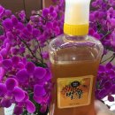 천열농장 | 토롬홀릭님의 천연벌꿀(아카시아/잡화꿀) 후기 이야기