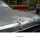 사람들과 자동차 Daum카페