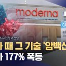 코로나 백신을 만든 미국 제약사 모더나가 같은 mRNA 기술로 환자 맞춤형 암 치료제를 개발 이미지