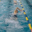 토이키즈 스윔클럽 이미지