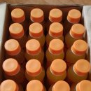 망고톡 PC 이미지