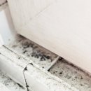 센트럴프라움 | [#1] 부천 센트럴 프라움 이사청소 후기 (더럽클린 후기 / 추천)