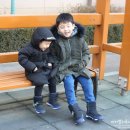 공룡신발 네이버블로그