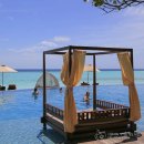 레지던스 다온(RESIDENCE DAON) | 몰디브 자유여행 중.. 더 레지던스 팔루마푸시 &amp; 디구라