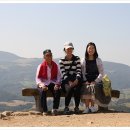 현희목장 이미지