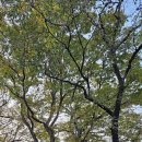 유계리경로당 이미지