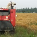 야지농장 이미지