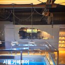 디큐브시티 타워동 | 서울 신도림 카페 가볼만한곳 추천 5곳