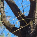 보배 어린이공원 이미지