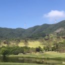 천룡CC(대중제) 이미지