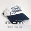신드롬(syndrome) | 데이지신드롬 볼캡 / 무신사 온라인 내돈내산 후기!