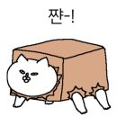 호텔 샤샤 이미지