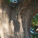 칠절리마을회관 이미지