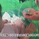 히히 - 고양시 일산서구 대산로 162 | 14개월 아기 방문수업 후기 | 히히호호 3개월 차 실제 수업과 아기 반응