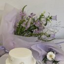 오르브와 이미지