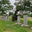 유당공원 내 비군 이미지