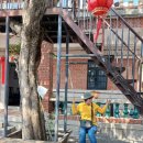 그린민박투 이미지