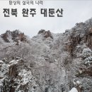 제263차 2017년12월23일(넷째토) [100대명산] *눈꽃산행* 호남의소금강 완주 대둔산(878m) 이미지