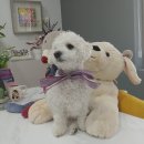 멍이요 천안지점 이미지