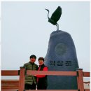 학암포 해당화 이미지