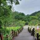 강아지 테마파크 이미지