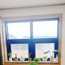 김선희 GX휘트니스 이미지