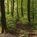 가야골프랜드 이미지