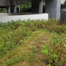 센트럴팰리스 오피스텔 이미지