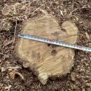 은평-031 이미지