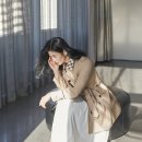 디자인강수진