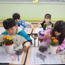 서귀서초등학교 이미지