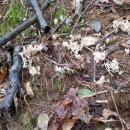 덕곡별장 이미지