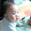 왜목떼라쎄옆 네이버블로그