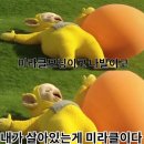사하구 강변대로 | [부산/사하] 사하구 하단 중식 맛집 중국집 점심 특선이 탄탄한 황금성