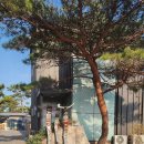 송라아쿠아 이미지