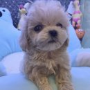 솔샘로67길 이미지