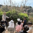 아이사랑어린이집 | 이유가 보이는 하루 돈암 영암어린이집 사랑반 숲체험 생생 후기 공개 성북구 종암 길음역 어린이집 추천