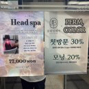 신화미용실 - 동구 대전로 828 | 석수역 미용실 블라잇헤어 레이어드 매직셋팅 c컬펌 후기
