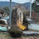 비슬목장 | [대구 근교 찜질방] 청도 군불로 주말 방문 후기 (+로카커피)