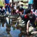 숲속자연유치원 이미지