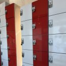 월계팀맥 이미지