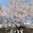 금리마을펜션 이미지