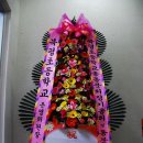 북평초등학교 - 정선군 | 북평초등학교