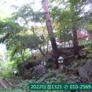 강림면358 이미지