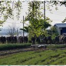 하루더펜션민박 이미지