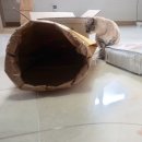 로얄페이퍼하우스 | 글지미택배/냥이일상/카샤카샤/로얄캐닌피트/인터파크펫/고양이장난감