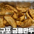 금용 | 구포 금용만두 군만두 포장 후기 (포장 비추천)