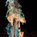 새소리펜션 이미지