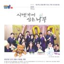 시냇가에심은나무 티스토리