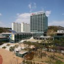 648 대경일보